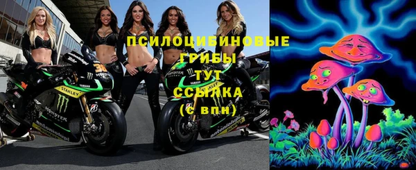 гидра Верхнеуральск